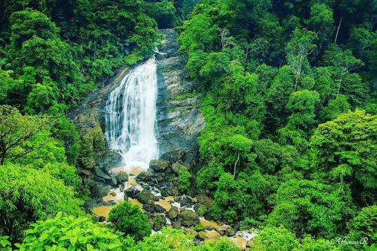 Cheeyappara Waterfalls - Nature Nest