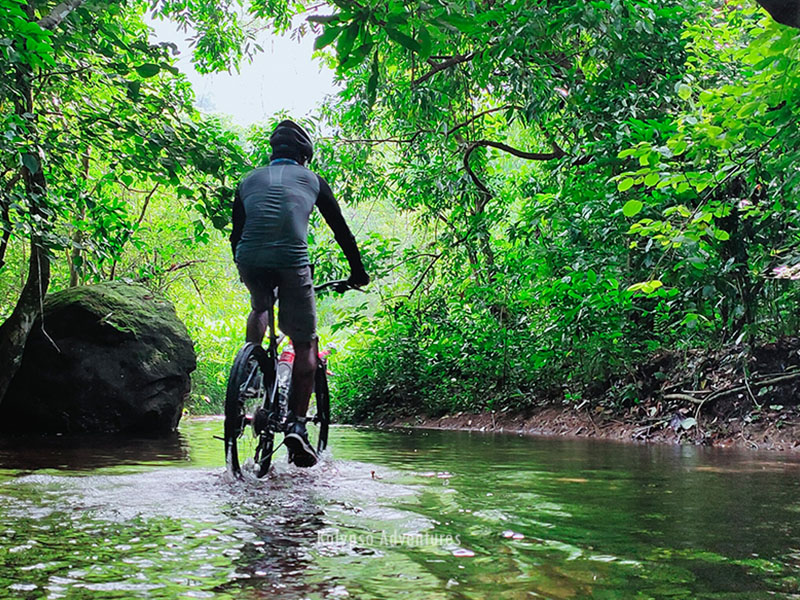 Cycling